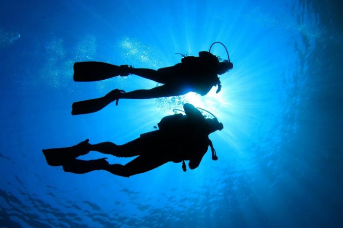 Diving is the most beautiful activity for grooms on honeymoon