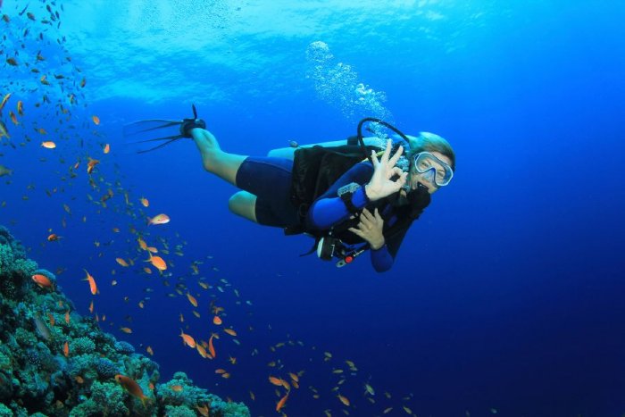 Philippines is the best honeymoon destination for diving enthusiasts