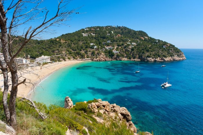     Magic of nature in Ibiza