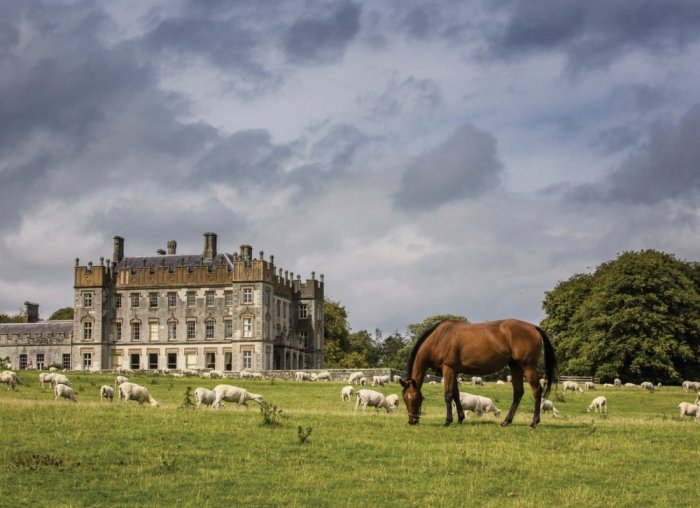 Ireland has what it takes to provide you with an aristocratic and luxurious vacation