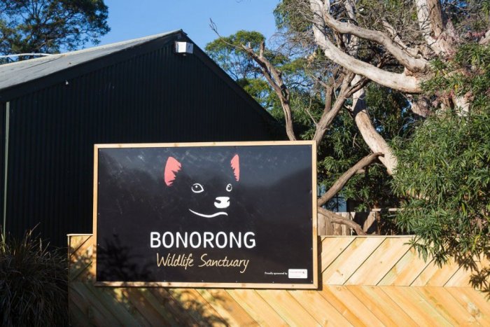     Bonorong Wildlife Sanctuary