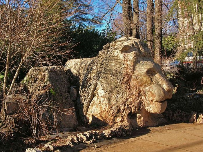     Lion statue of Ifrane