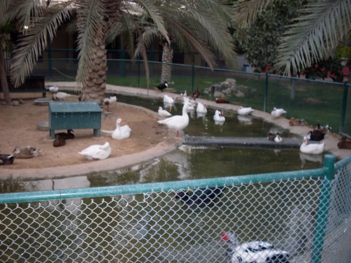 Arab Wildlife Center