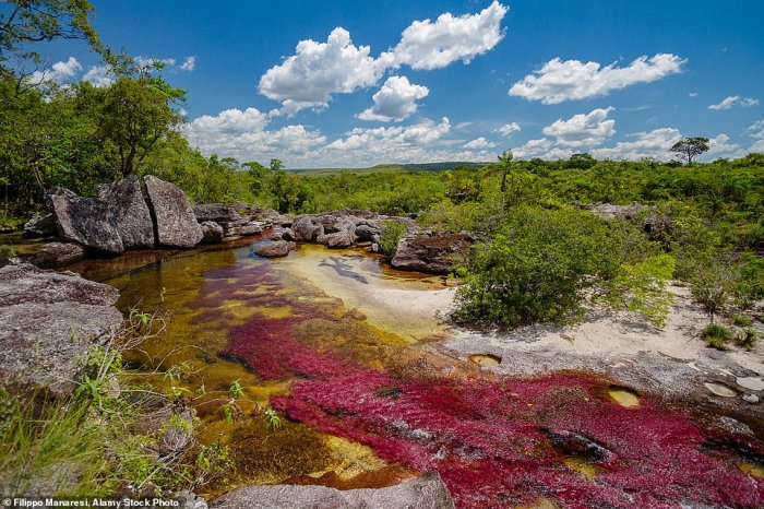 Canyo Cristales River, Colombia