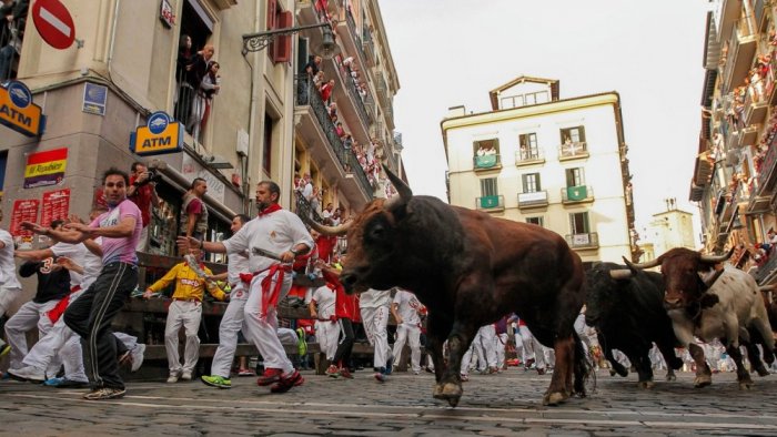 The Running of the Bulls Festival