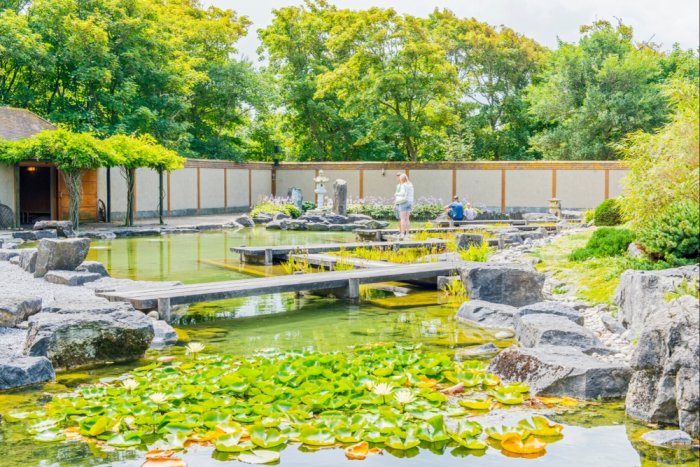     The Japanese garden in Ostend is described as a beautiful and peaceful oasis in the heart of the city