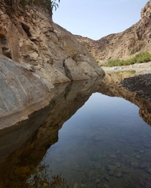 The nature of Najran