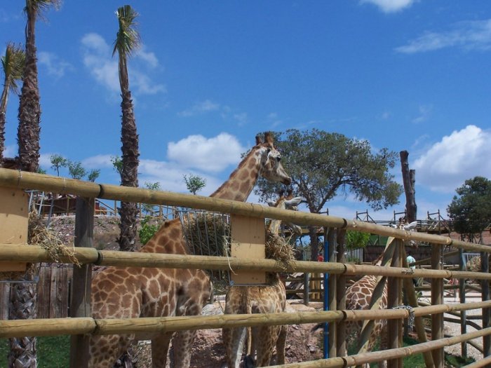 One of the best zoos that you can visit in Spain