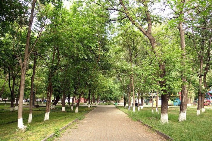     From the Yerevan parks