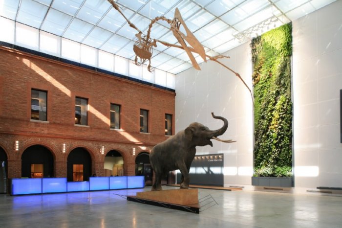     The Natural History Museum in Toulouse, which contains an impressive collection of exhibits and interactive displays