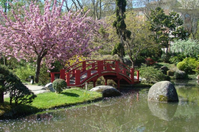 The Japanese Garden in Toulouse is one of the most beautiful parks you can visit in the city
