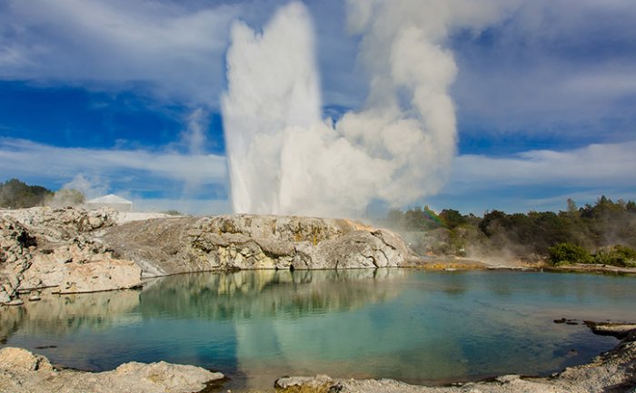 See the hot springs in Rotorua