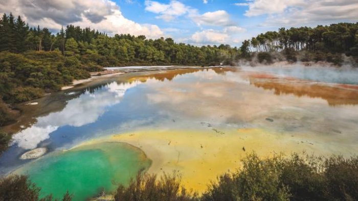     Mud lakes used for treatments in Rotorua