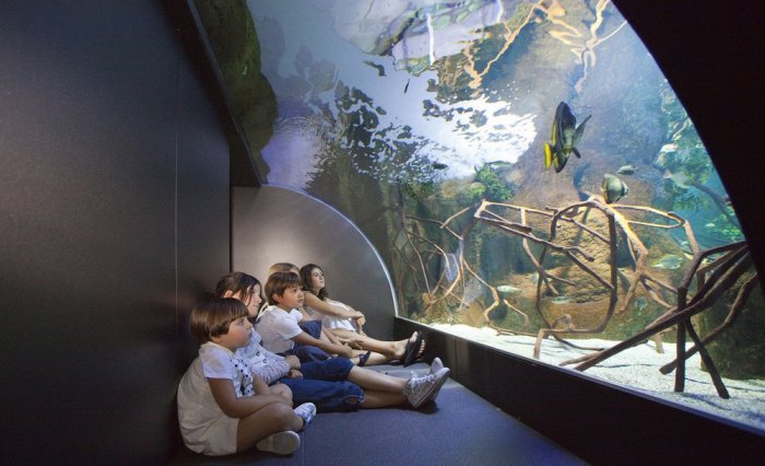     Aquarium Donostia San Sebastian