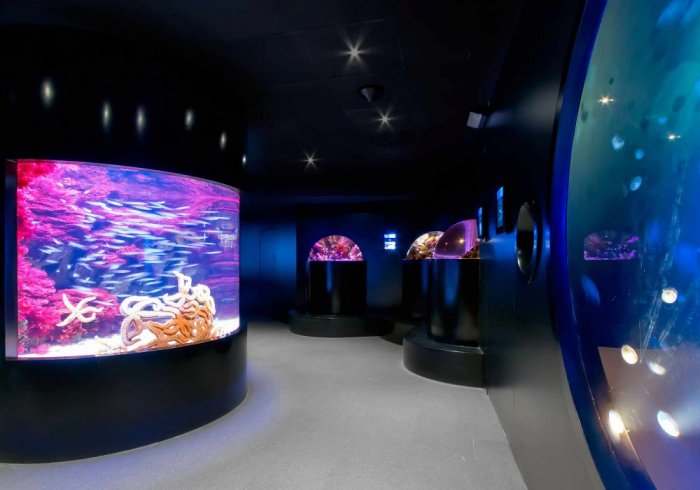The Donostia San Sebastian Aquarium is one of the best aquariums in Europe
