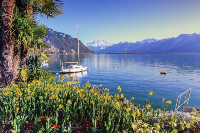 Lake Geneva view