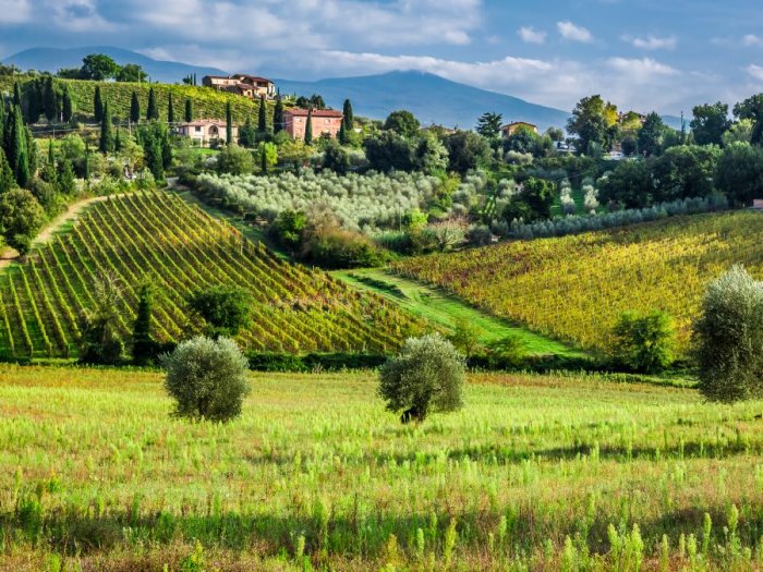 The splendor of nature in Tuscany