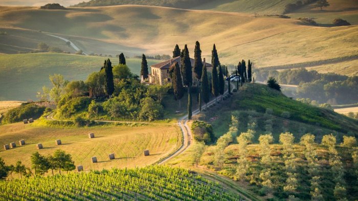 Charming scenes in Tuscan