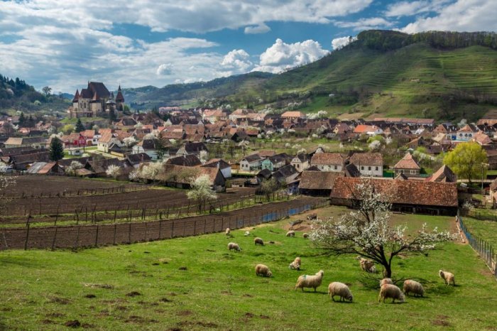 The splendor of the countryside in the villages of Transylvania