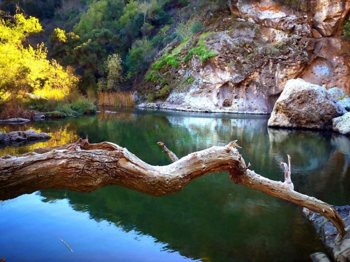 Malibu Creek National Park is one of the most beautiful national parks in California