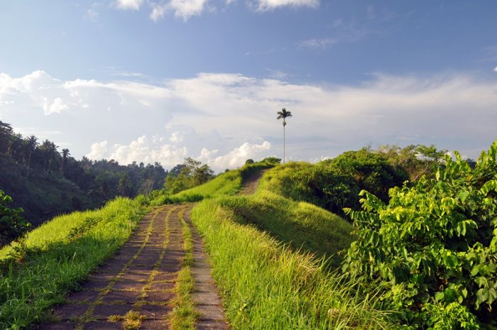 Ubud and Campohan Ridge Walkway