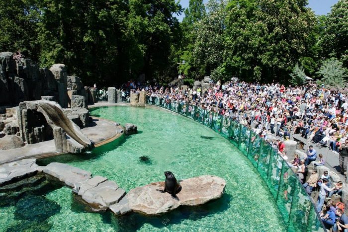 Prague Zoo is described as one of the most beautiful and best zoos in Europe