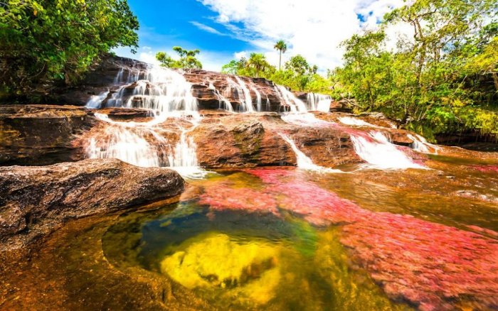 From the Canio Cristales River