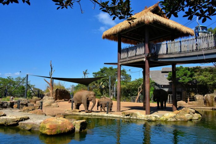 Taronga Zoo 