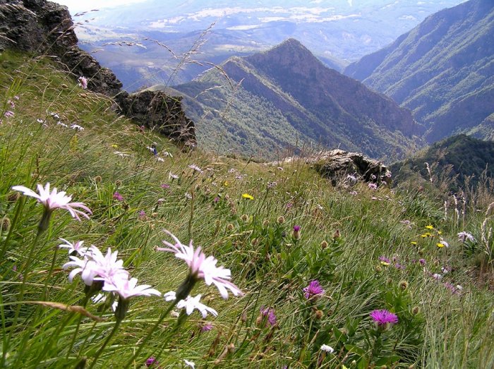 Balkan National Park