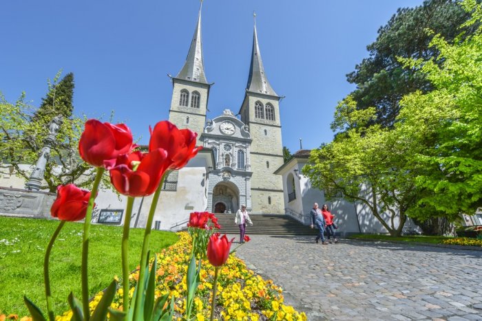 Lucerne Cathedral