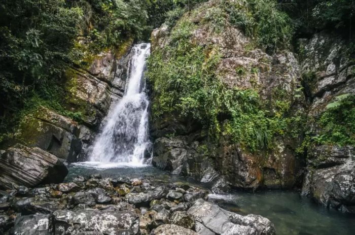 From the UNESCO rainforest in Puerto Rico