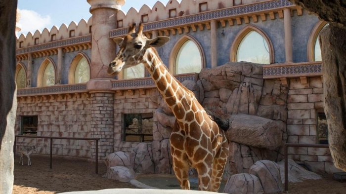 Emirates Zoo