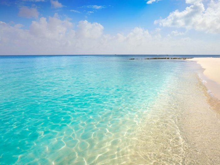 The stunning pure cozumel water