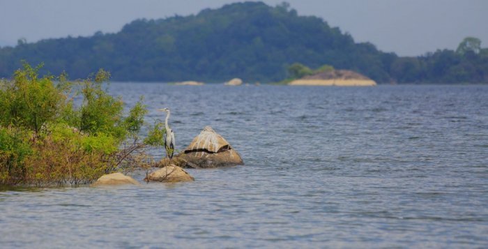 Gal Oya National Park