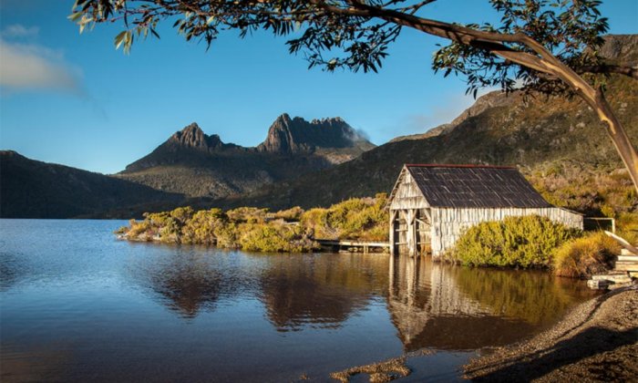 Don't miss the natural beauty of Tasmania