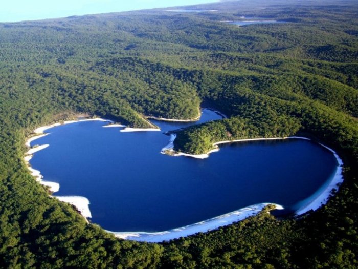 Fraser Island is characterized by a large number of rainforests