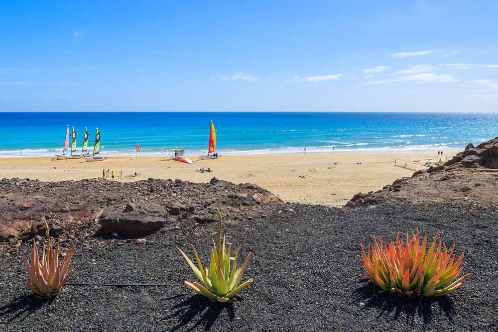 1581284243 411 Tourism in the Canary Islands and the best times to - Tourism in the Canary Islands and the best times to visit