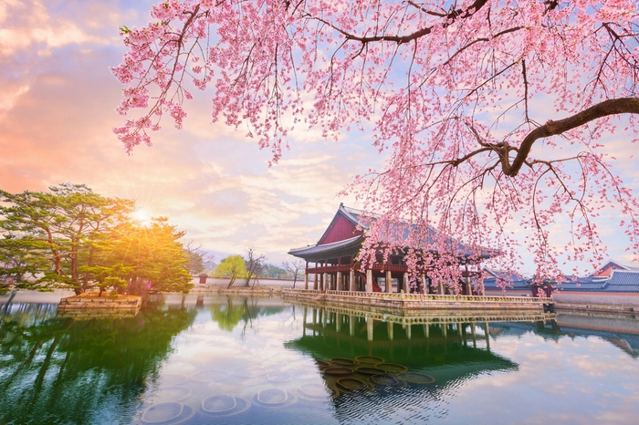 The best times to visit South Korea