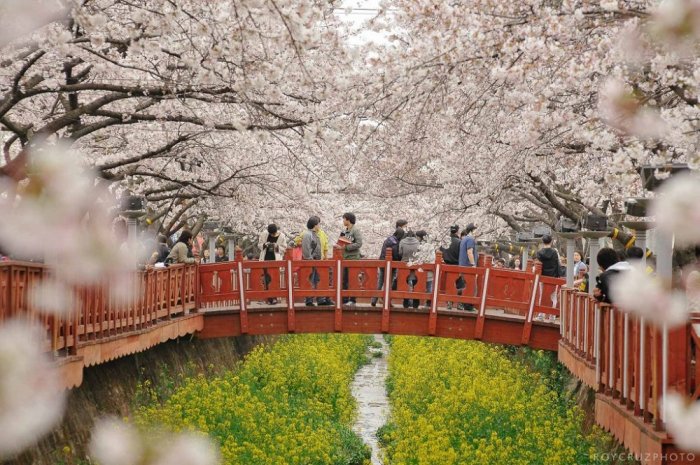 Picturesque spring ambience