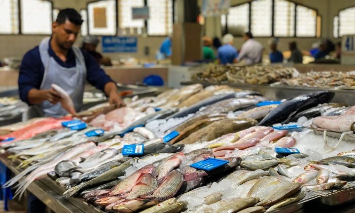     Mina Zayed Fish Market