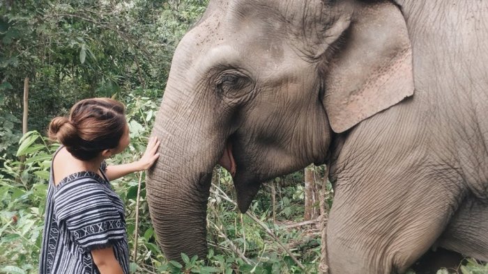 The Elephant Sanctuary on Phuket Island in Thailand is a great choice for a day out with friends