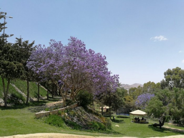 Abu Khayal Park