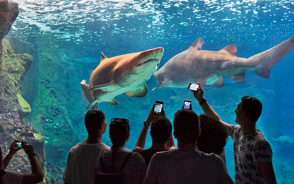 CretAquarium is one of the largest fish ponds in Europe