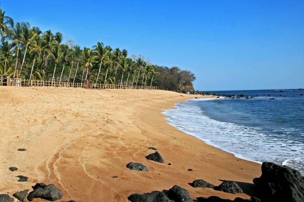     Los Copanos' signature beach in Salvador