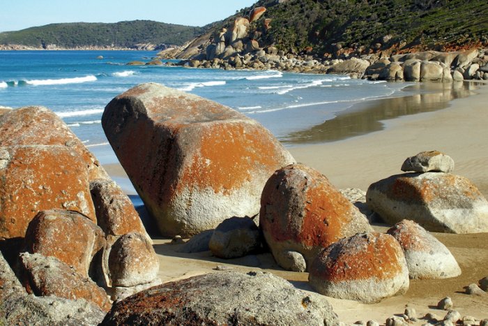     View from the Wilsons Promontory National Park