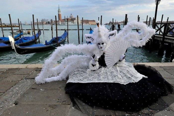     Venice Festival