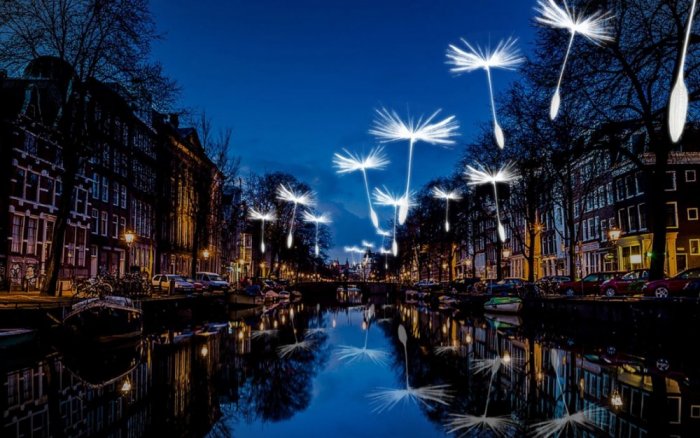The Lights Festival in Amsterdam