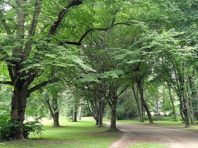     Groneburg Park