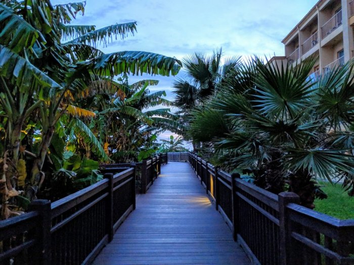     One of the parks in Padre Island