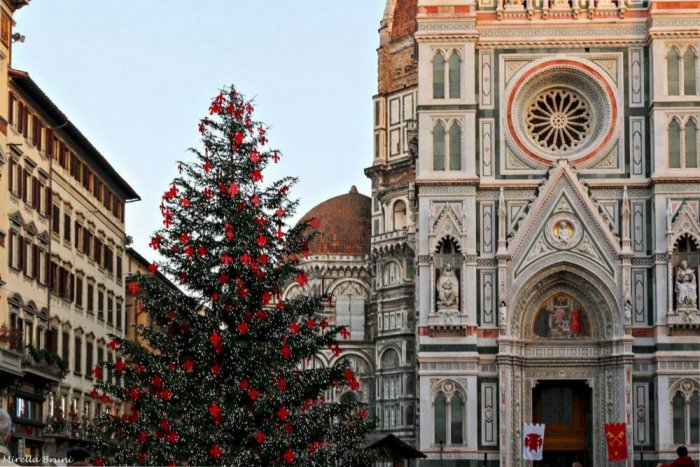     Visit the museums of Florence
